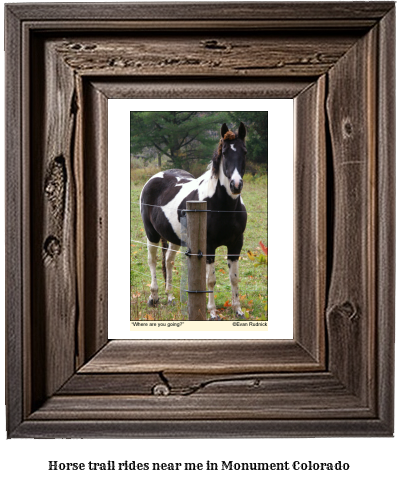 horse trail rides near me in Monument, Colorado